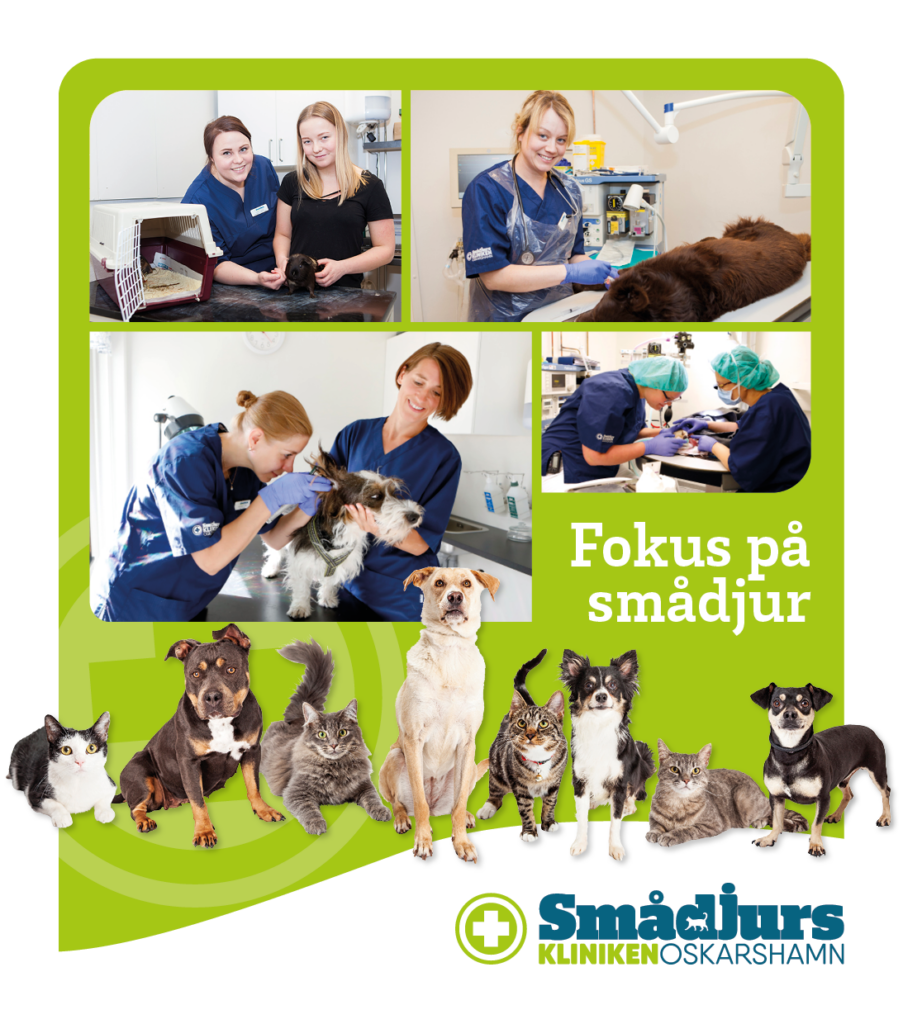 Smådjurskliniken